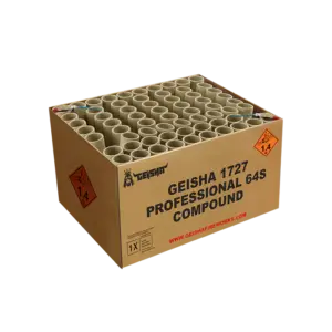 PROFESSIONAL 64'S COMPOUND